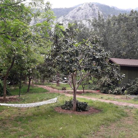 Kibala Hotel Çıralı Zewnętrze zdjęcie
