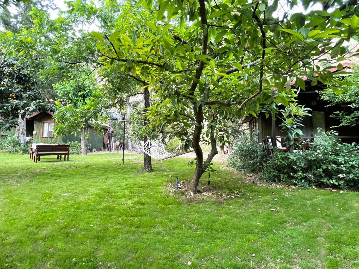 Kibala Hotel Çıralı Zewnętrze zdjęcie