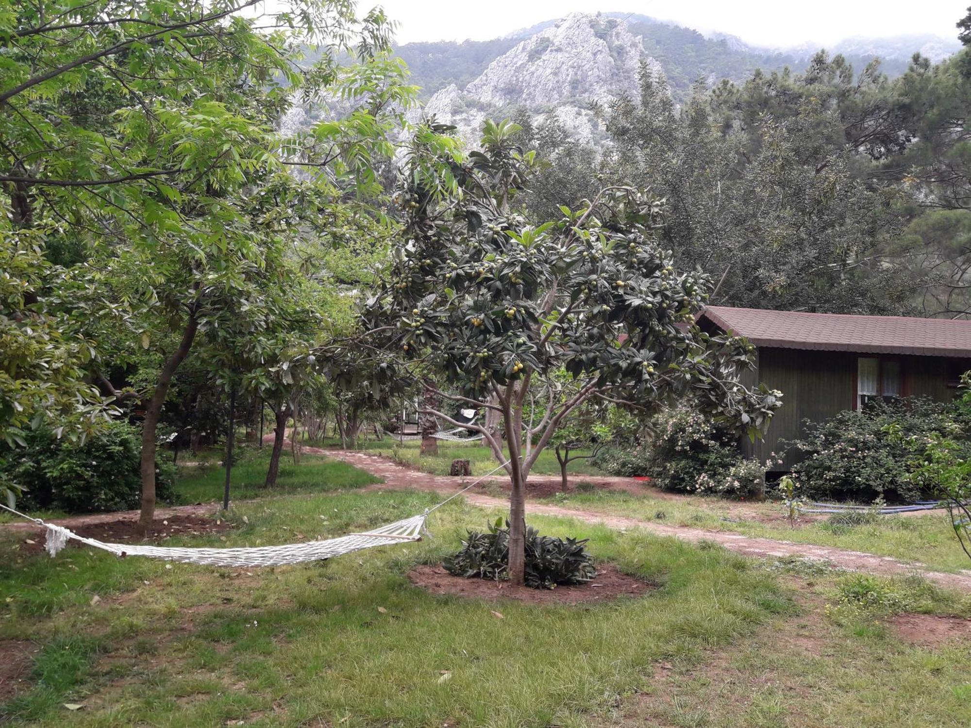 Kibala Hotel Çıralı Zewnętrze zdjęcie