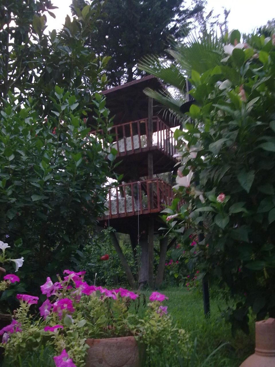 Kibala Hotel Çıralı Zewnętrze zdjęcie