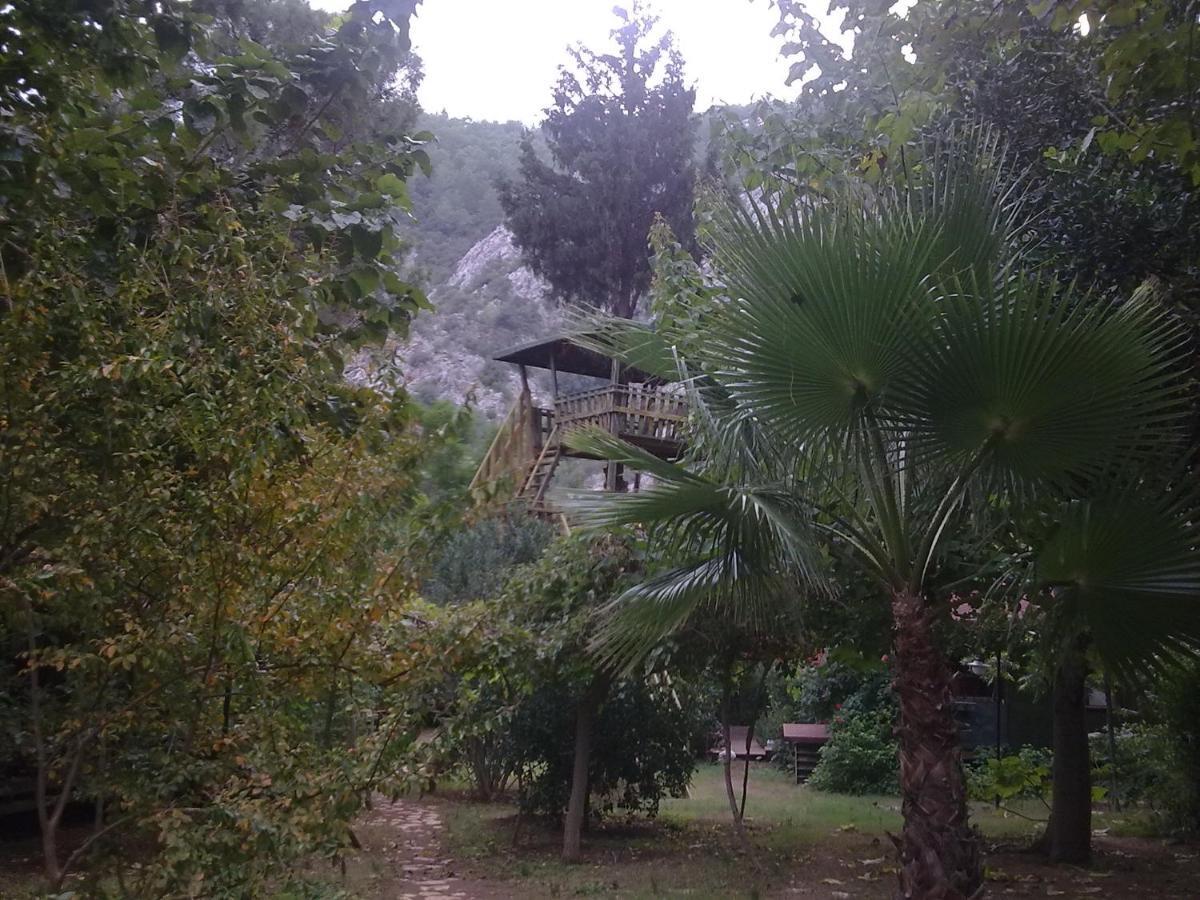 Kibala Hotel Çıralı Zewnętrze zdjęcie